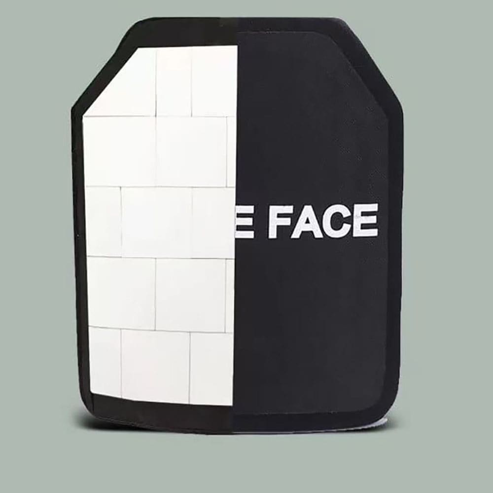 Multicurved alumina breast plate - type II